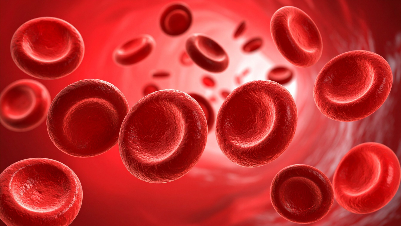 Red blood cells flowing through a blood vessel in a vibrant red background The cells appear three-dimensional and detailed