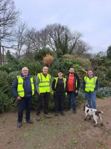 St Rocco's Hopsice Christmas tree collection
