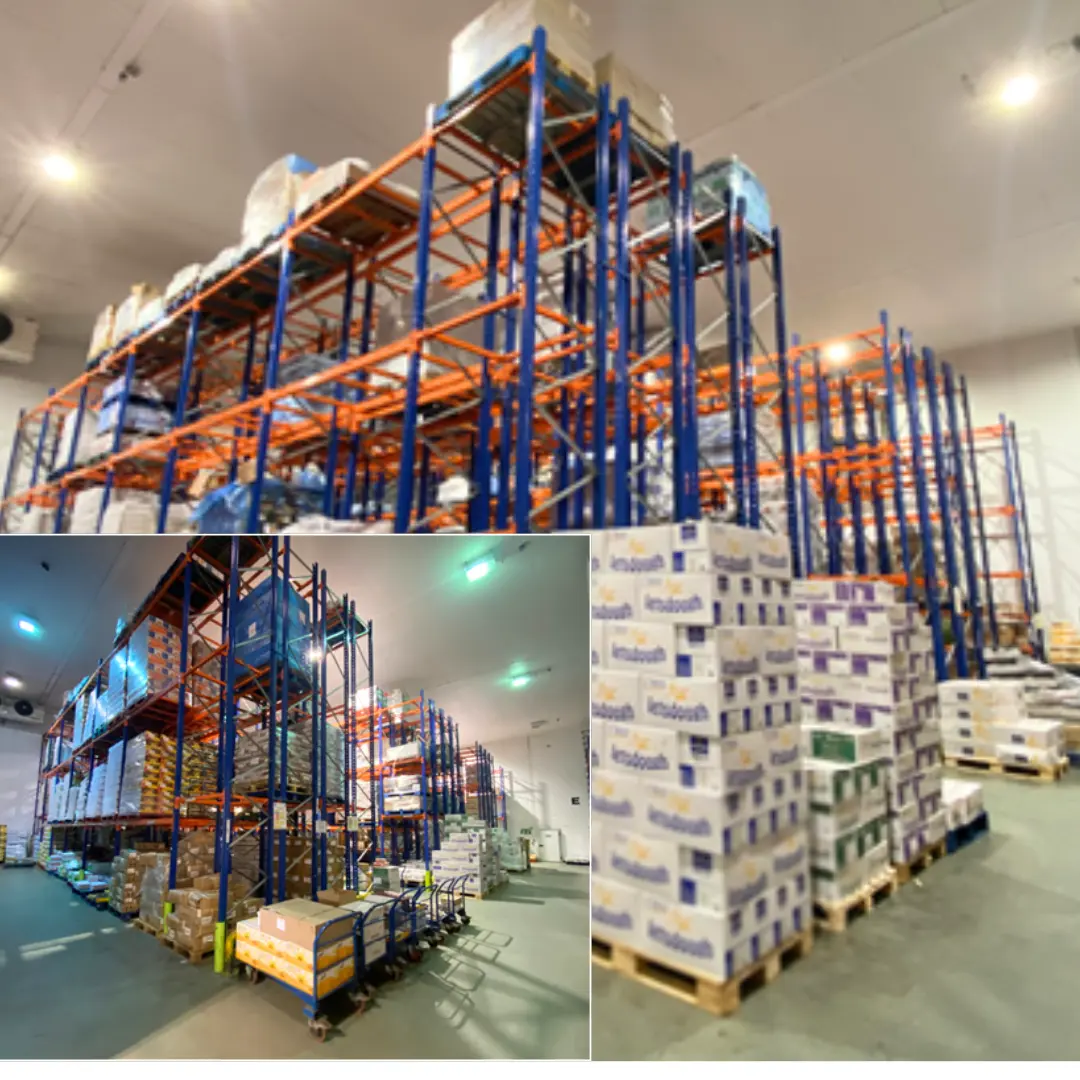 Staff Photos (6).png